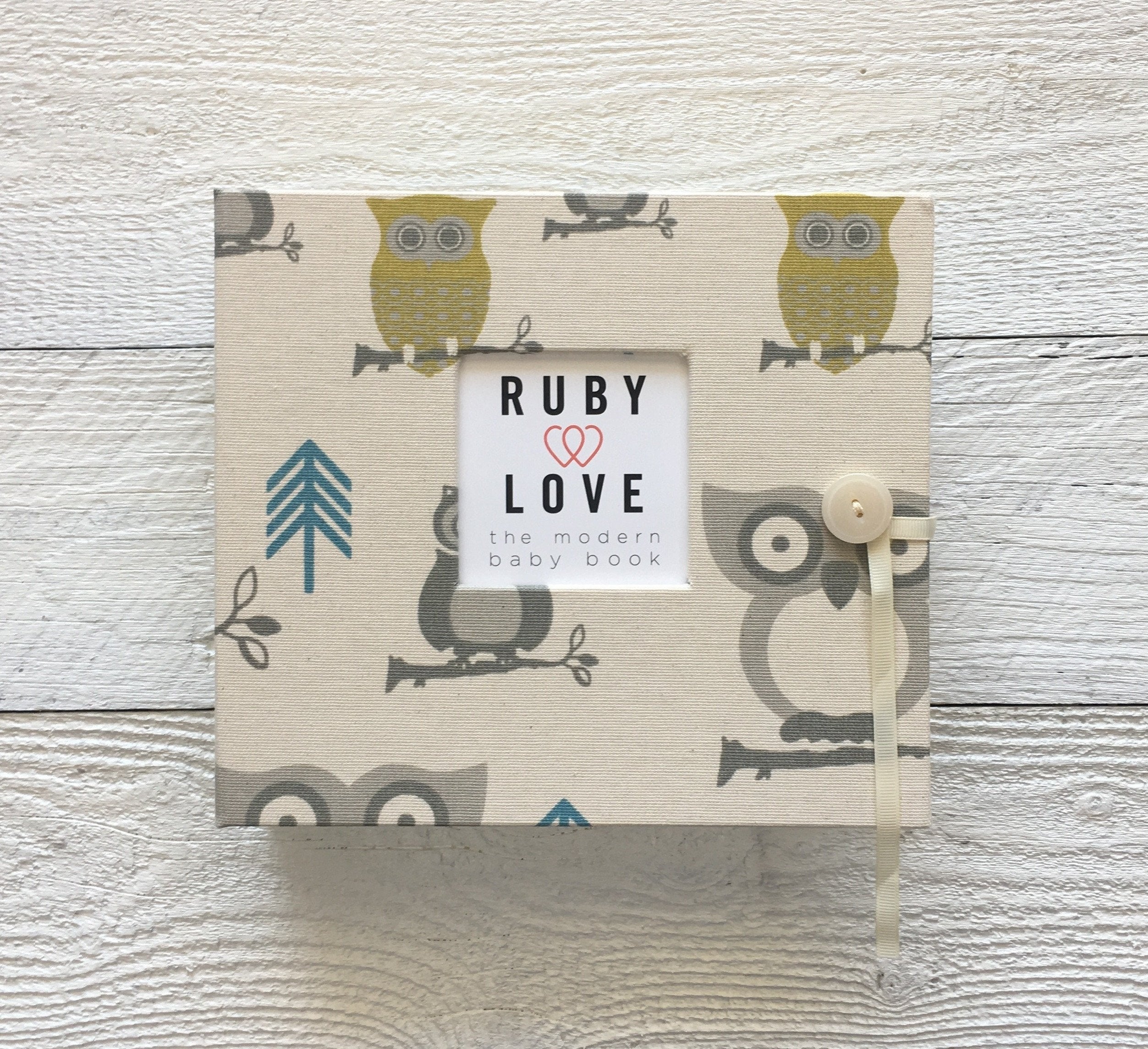 Blue and Green Owls | Baby Book